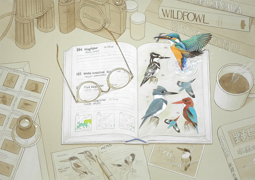 水谷高英の野鳥イラスト